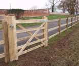 Gate and Fencing